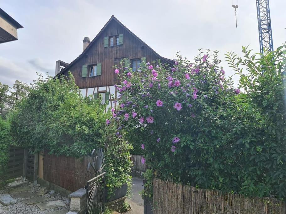 Oberglatt 3 Bedroom Swiss House On 3 Floors מראה חיצוני תמונה