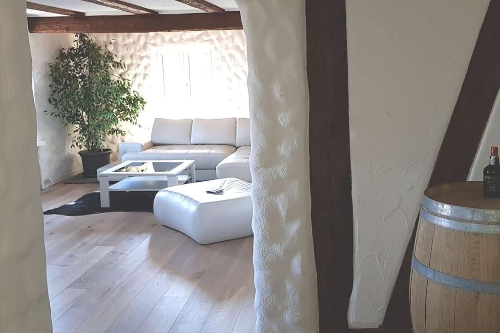 Oberglatt 3 Bedroom Swiss House On 3 Floors מראה חיצוני תמונה